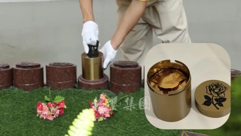 ��ҳ - ���ɱ����ǹ��ʹٷ���վ