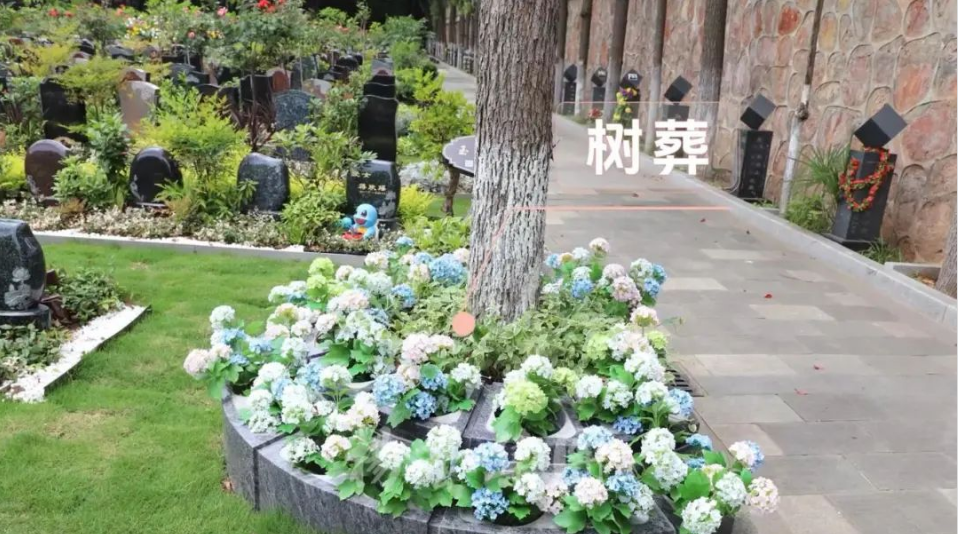 ��ҳ - ���ɱ����ǹ��ʹٷ���վ