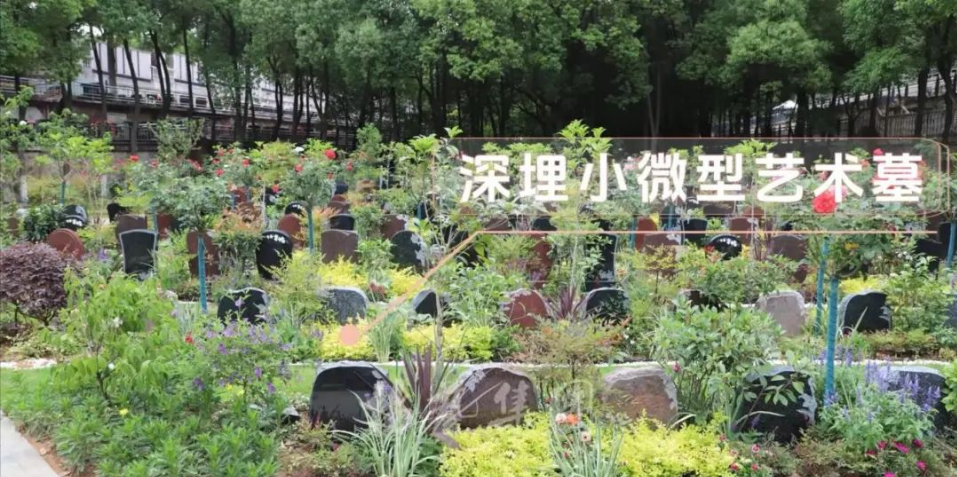 ��ҳ - ���ɱ����ǹ��ʹٷ���վ