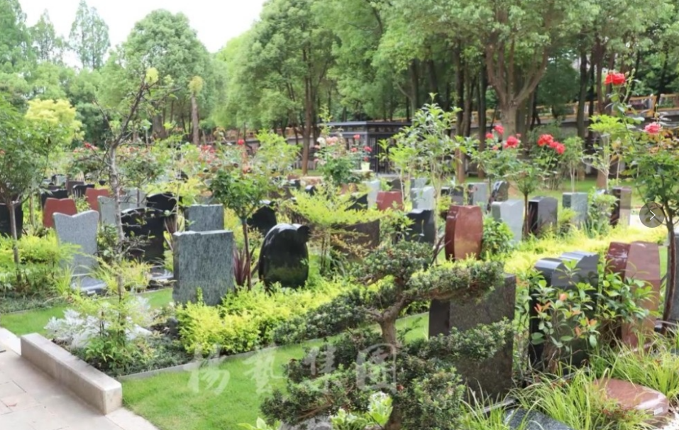 ��ҳ - ���ɱ����ǹ��ʹٷ���վ