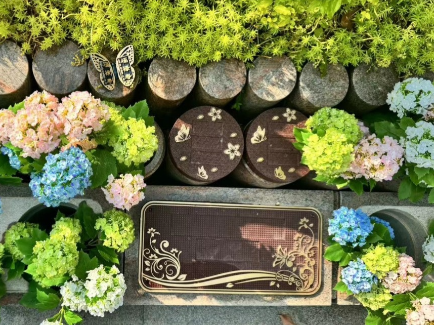 ��ҳ - ���ɱ����ǹ��ʹٷ���վ