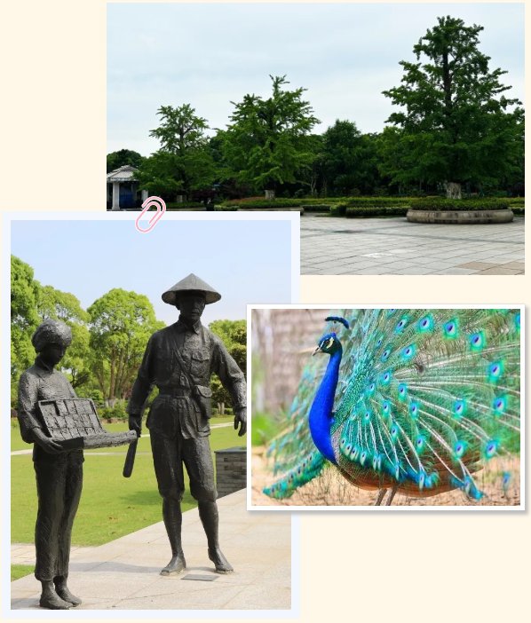 ��ҳ - ���ɱ����ǹ��ʹٷ���վ