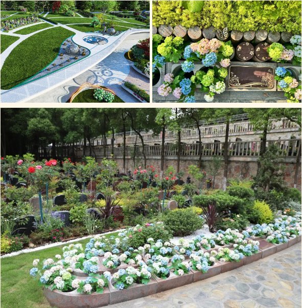 ��ҳ - ���ɱ����ǹ��ʹٷ���վ