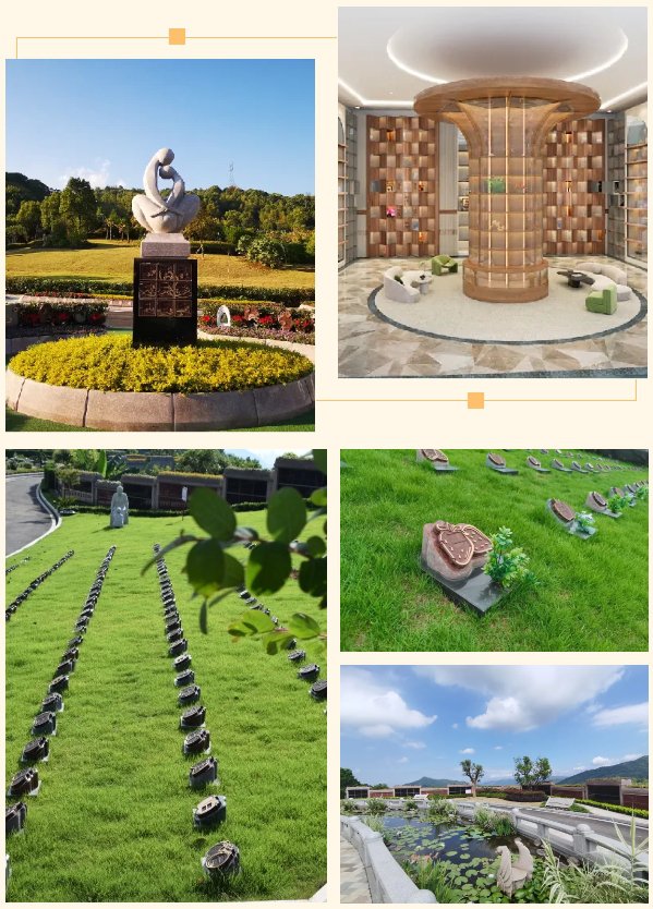 ��ҳ - ���ɱ����ǹ��ʹٷ���վ