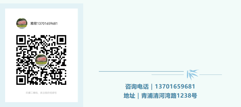 ��ҳ - ���ɱ����ǹ��ʹٷ���վ