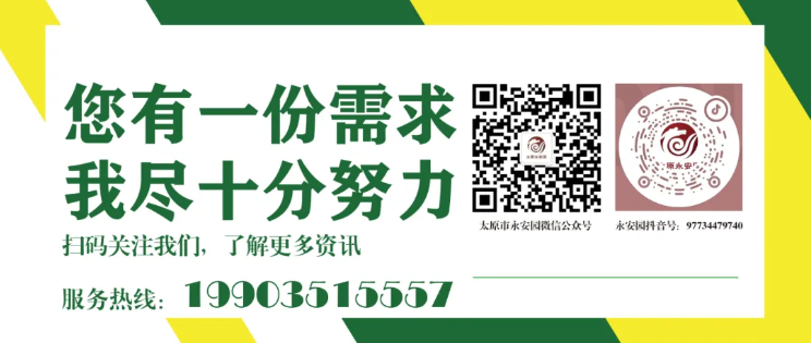 1-2409120ZI9327 首页 - 菲律宾亚星国际官方网站