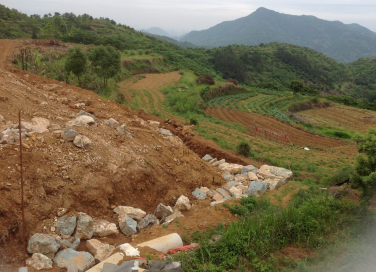 ��ҳ - ���ɱ����ǹ��ʹٷ���վ