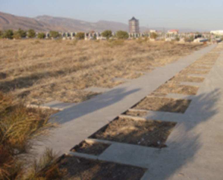 ��ҳ - ���ɱ����ǹ��ʹٷ���վ