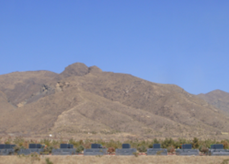 ��ҳ - ���ɱ����ǹ��ʹٷ���վ