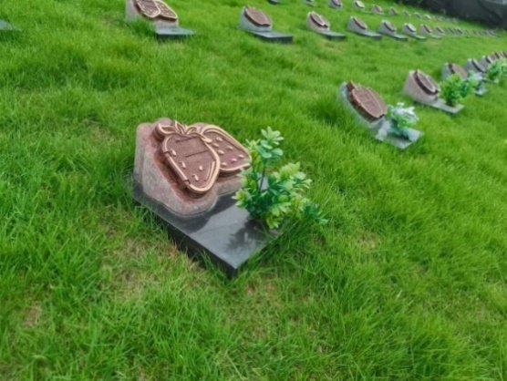 ��ҳ - ���ɱ����ǹ��ʹٷ���վ