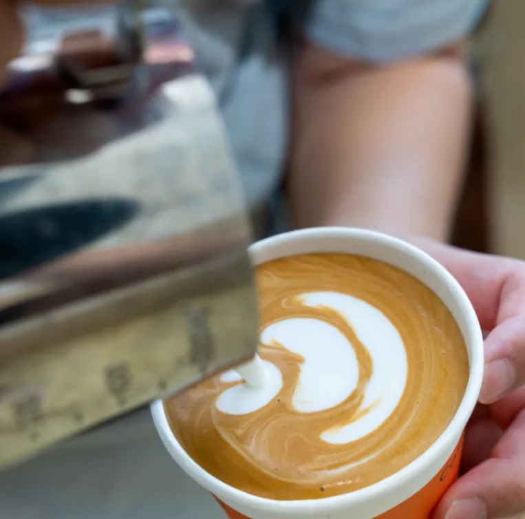 1-241101140244100 首页 - 菲律宾亚星国际官方网站