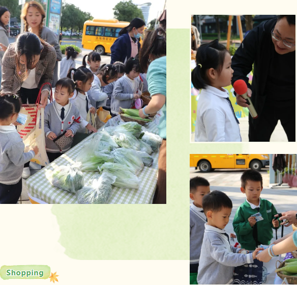 1-241101145221L6 首页 - 菲律宾亚星国际官方网站