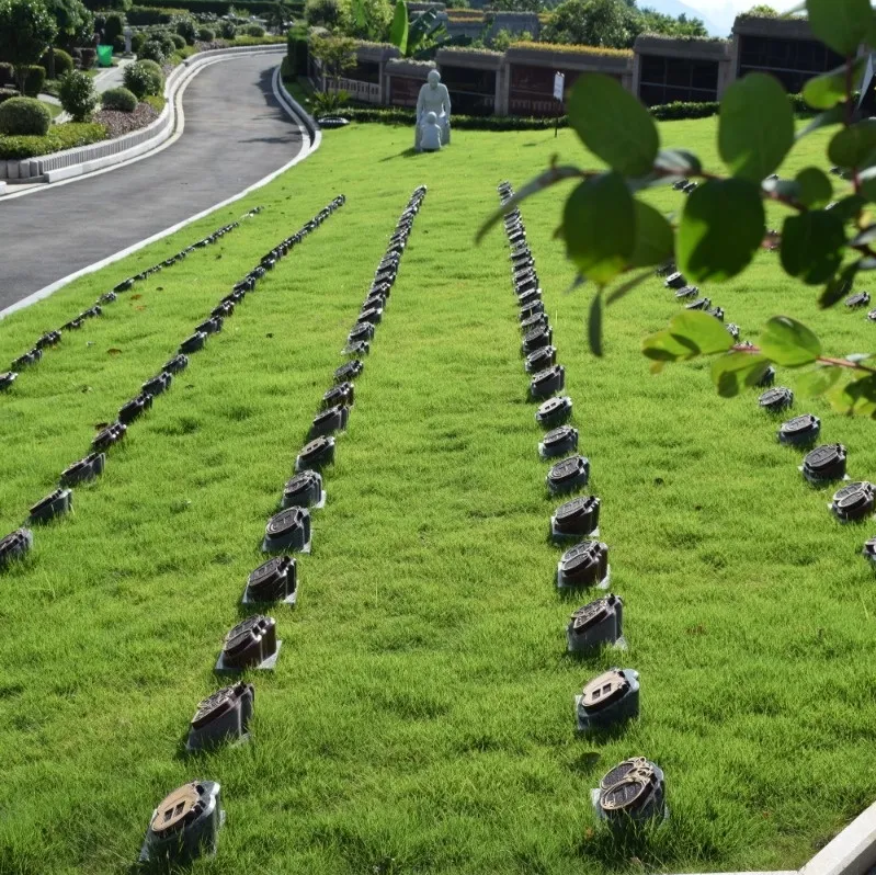 ��ҳ - ���ɱ����ǹ��ʹٷ���վ