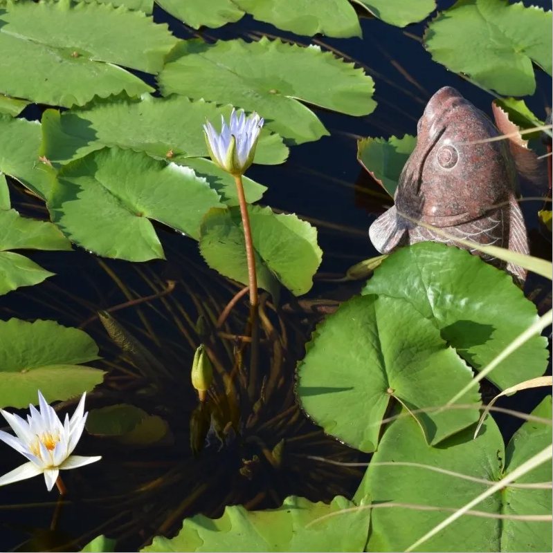 ��ҳ - ���ɱ����ǹ��ʹٷ���վ