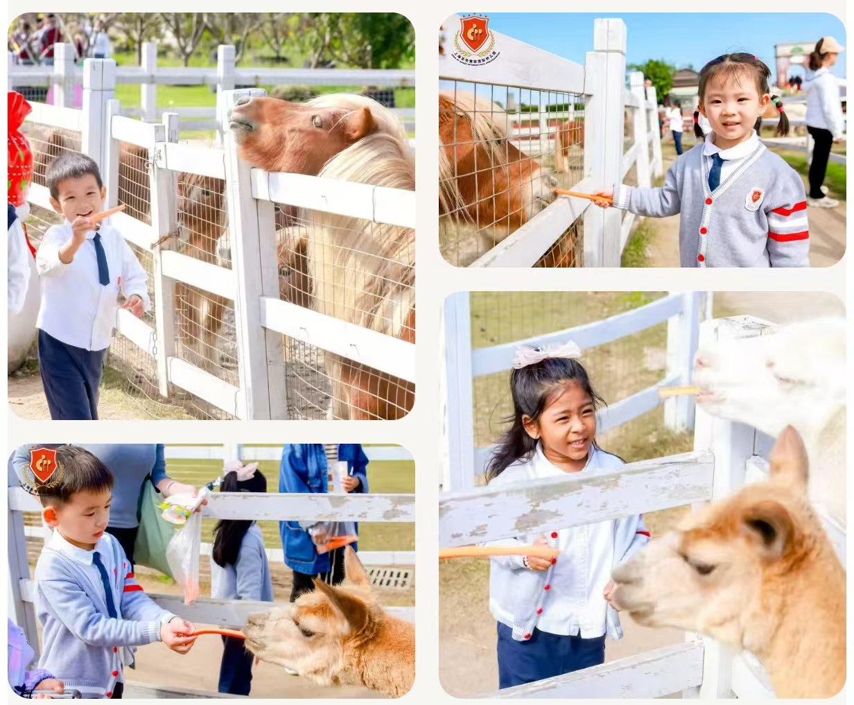 ��ҳ - ���ɱ����ǹ��ʹٷ���վ