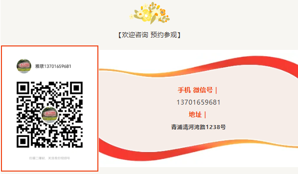 ��ҳ - ���ɱ����ǹ��ʹٷ���վ