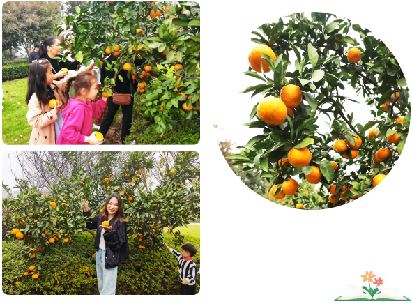 ��ҳ - ���ɱ����ǹ��ʹٷ���վ