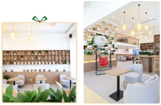 ��ҳ - ���ɱ����ǹ��ʹٷ���վ