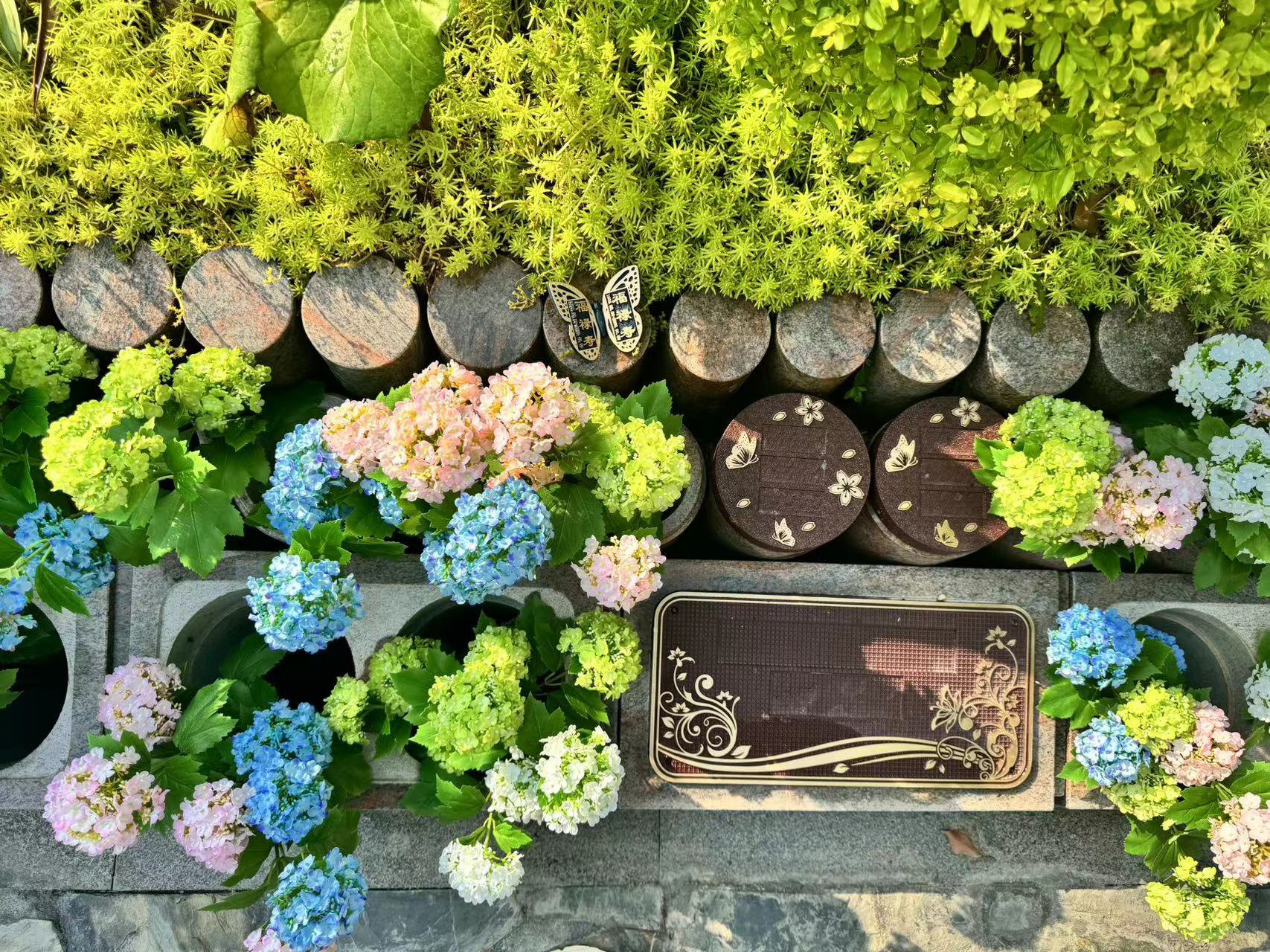 ��ҳ - ���ɱ����ǹ��ʹٷ���վ