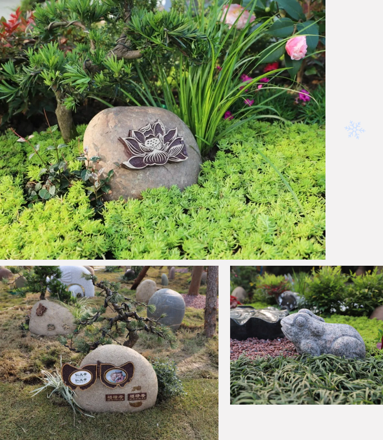 ��ҳ - ���ɱ����ǹ��ʹٷ���վ