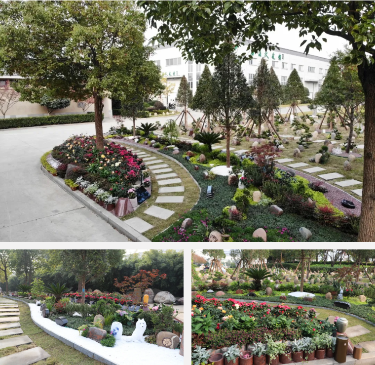 ��ҳ - ���ɱ����ǹ��ʹٷ���վ