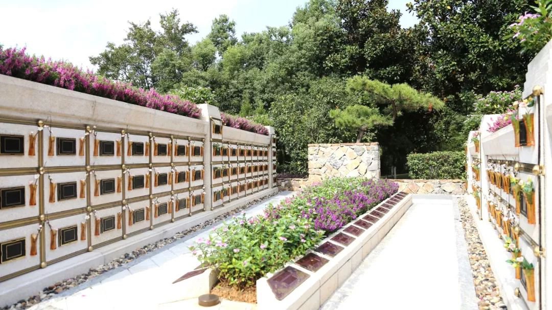 ��ҳ - ���ɱ����ǹ��ʹٷ���վ