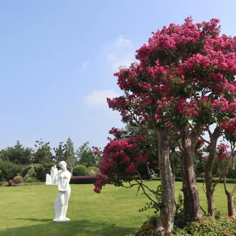 ��ҳ - ���ɱ����ǹ��ʹٷ���վ