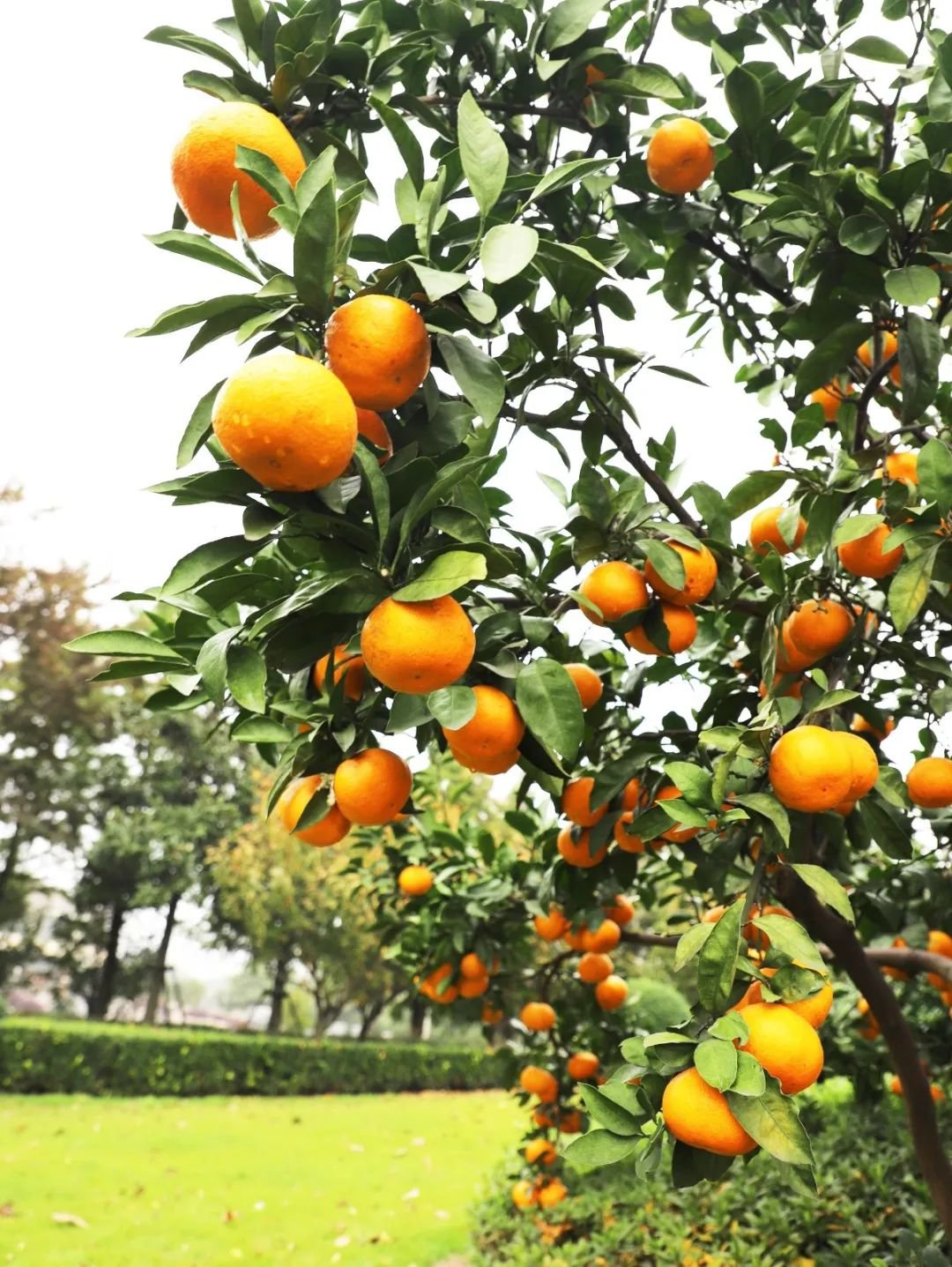 ��ҳ - ���ɱ����ǹ��ʹٷ���վ