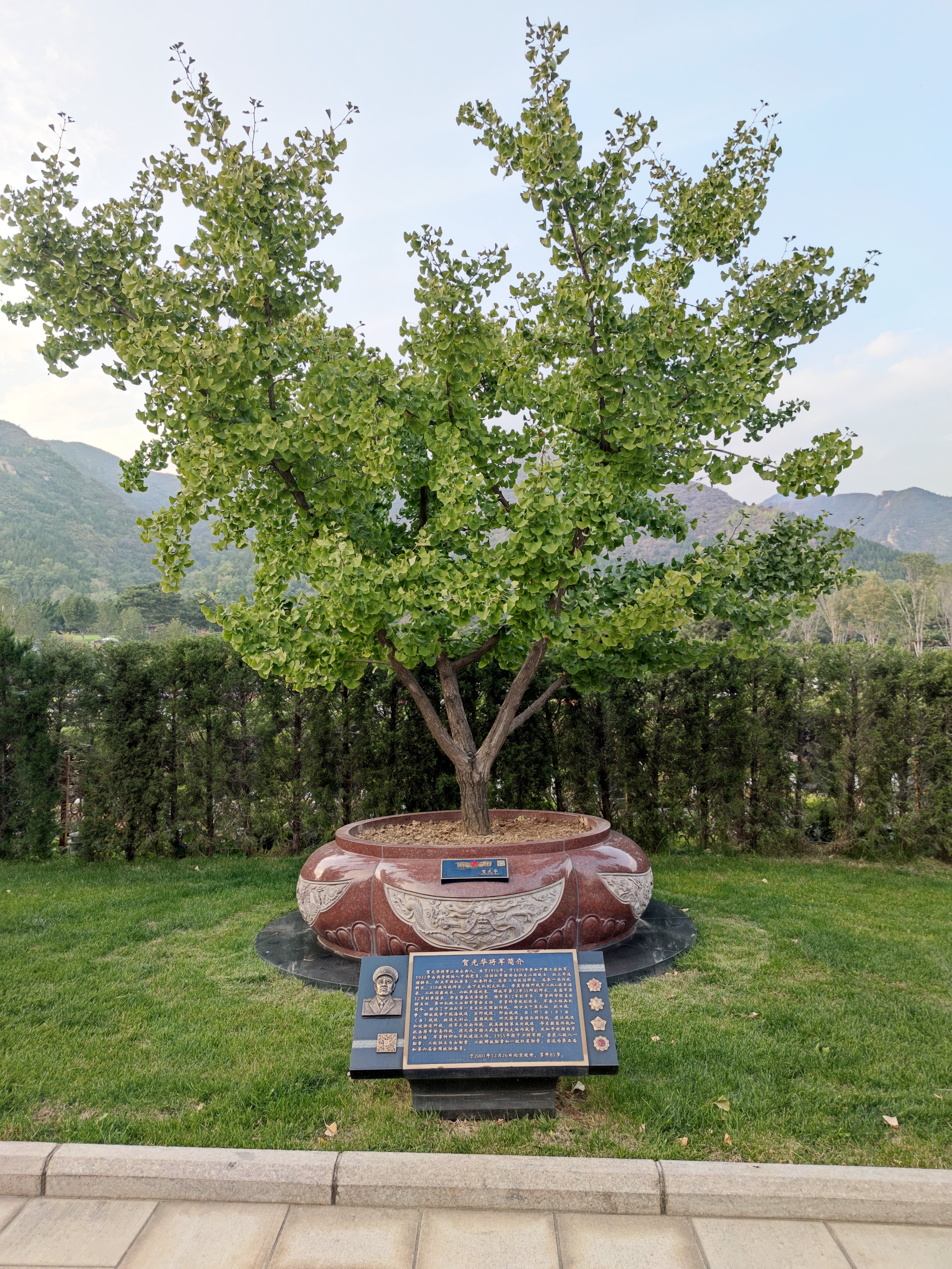 ��ҳ - ���ɱ����ǹ��ʹٷ���վ