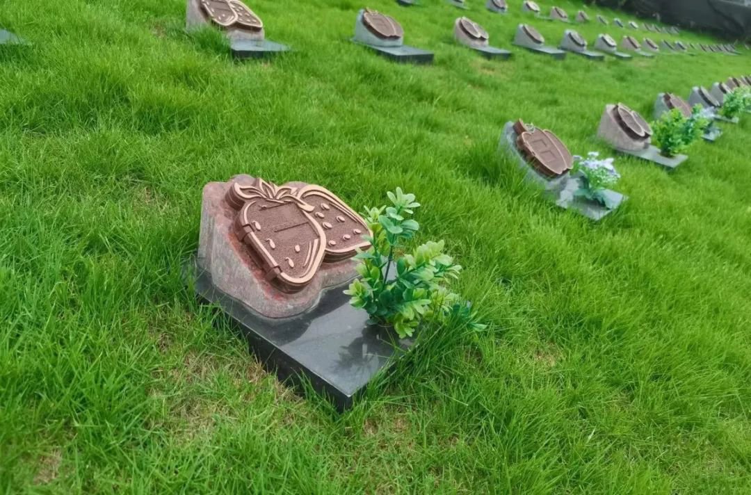 1-250224104G2941 首页 - 菲律宾亚星国际官方网站