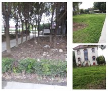 ��Ĺ԰ˢ�£������е���ɫӰ�����Ļ�����