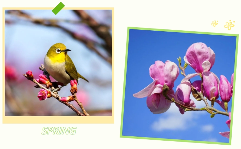 ��ҳ - ���ɱ����ǹ��ʹٷ���վ