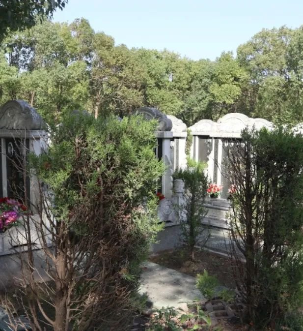 1-25032Q3324A38 首页 - 菲律宾亚星国际官方网站