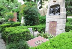 Ϊ�������벻�������Ե������𰸲�������