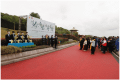 ��������Ը | �鳾��������������֮�������ʹ󰮹�;