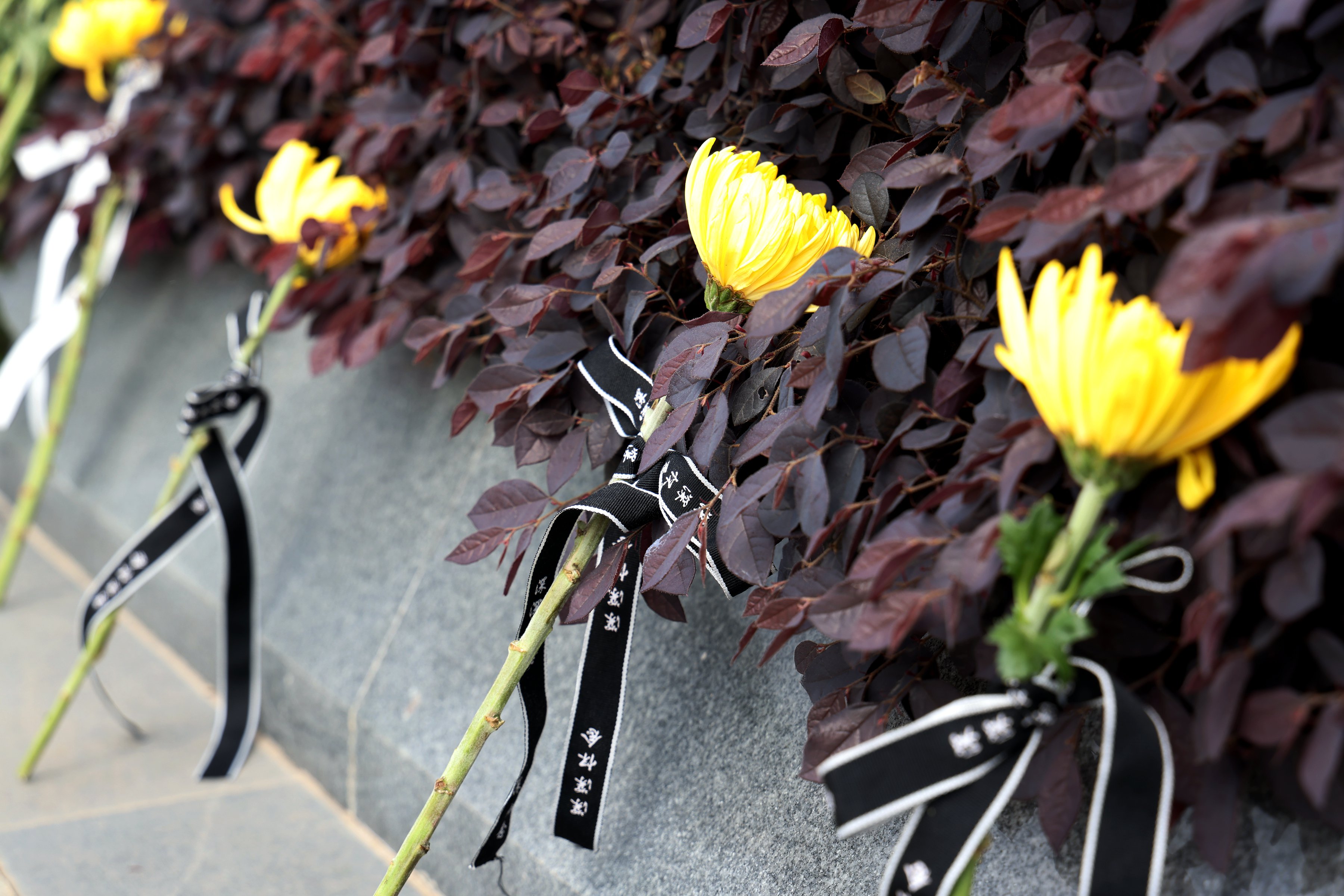 ��ҳ - ���ɱ����ǹ��ʹٷ���վ