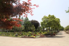 ���ձ��Ϊ��һ�ֳɳ�