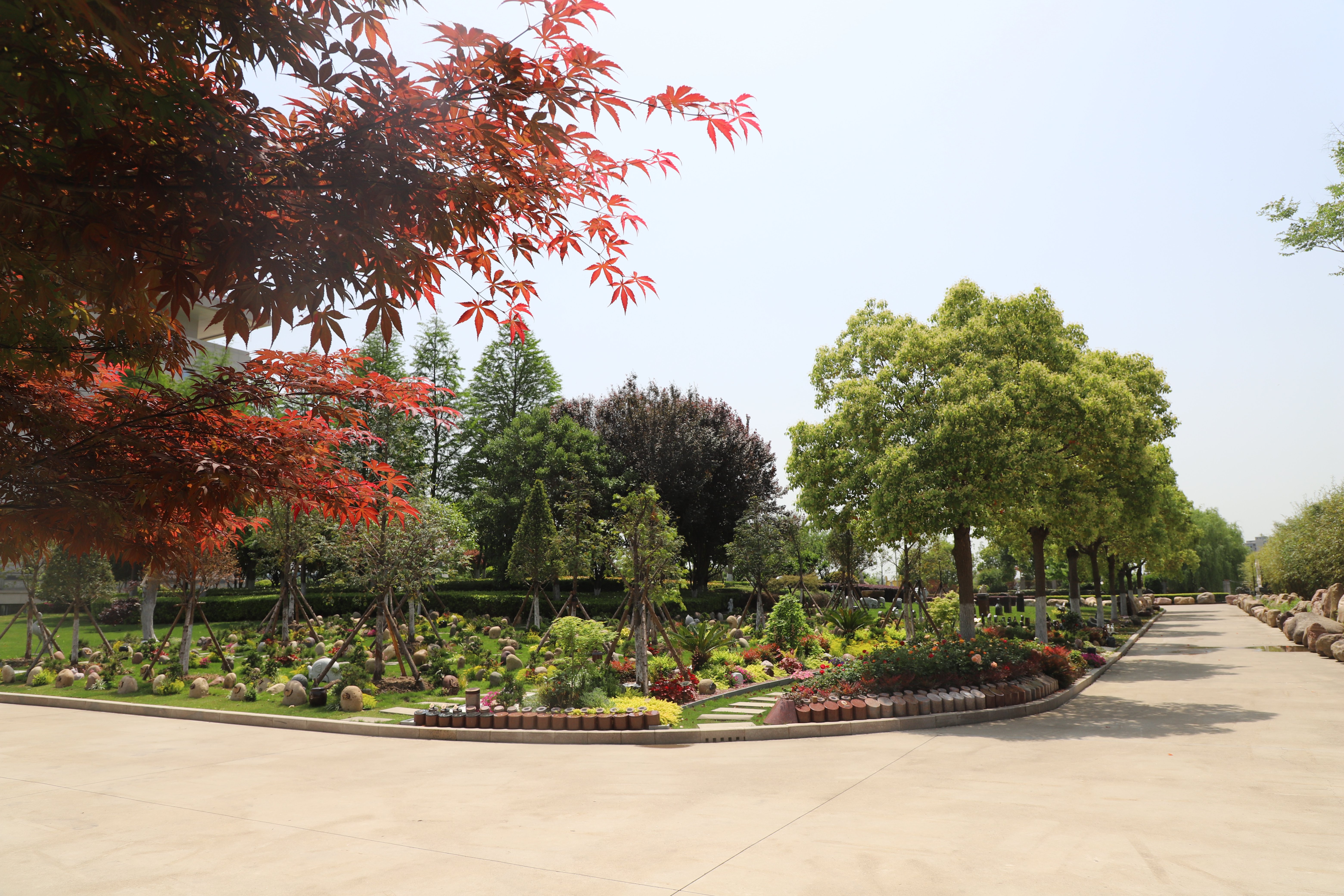 ��ҳ - ���ɱ����ǹ��ʹٷ���վ