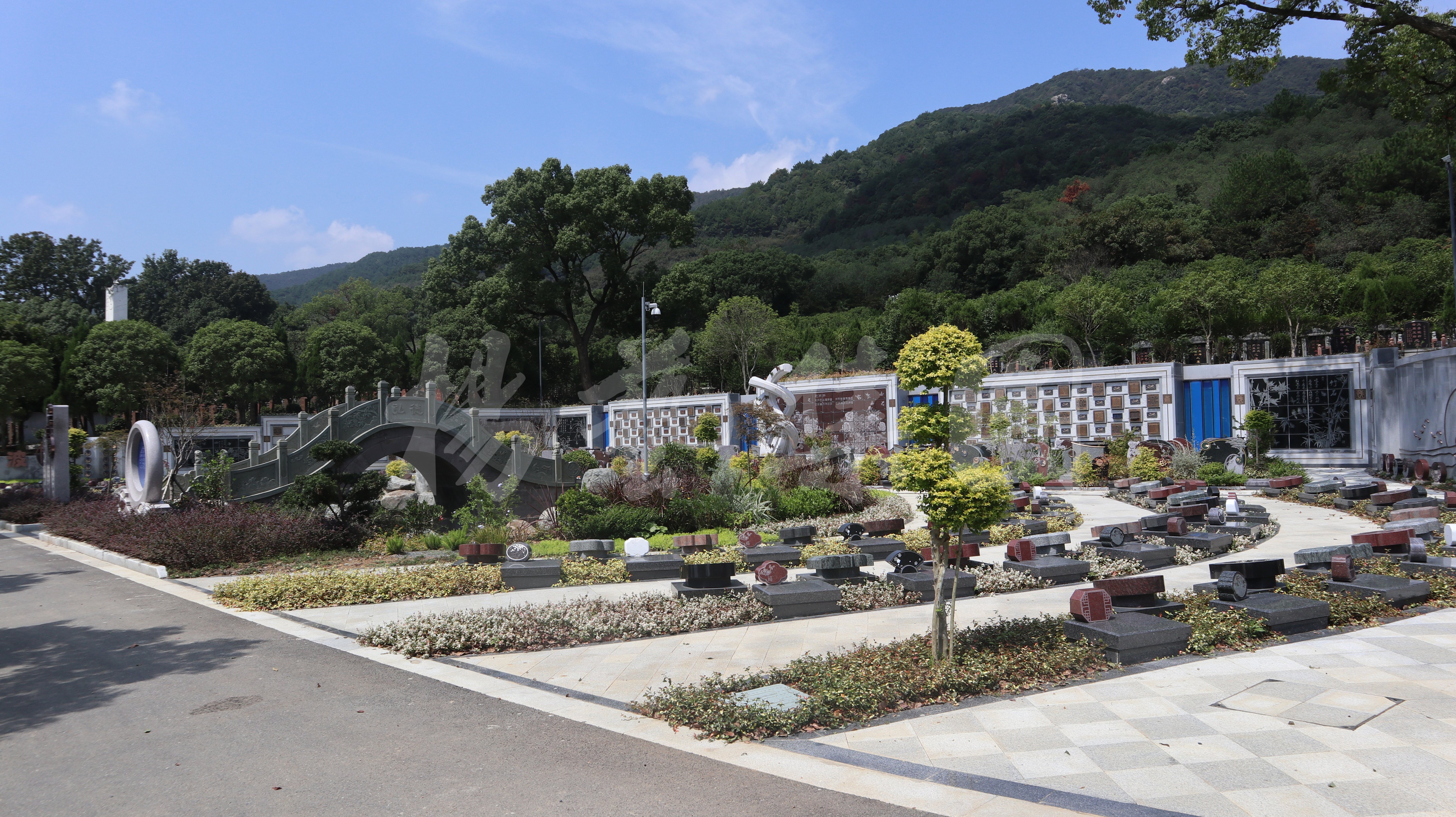 1-250429124051c4 Ê×Ò³ - ·ÆÂɱöÑÇÐǹú¼Ê¹Ù·½ÍøÕ¾