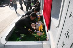 ϸ����Щ������������ޡ���