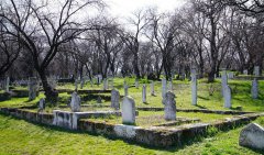 �ִ�Ĺ԰����ɫԾǨ