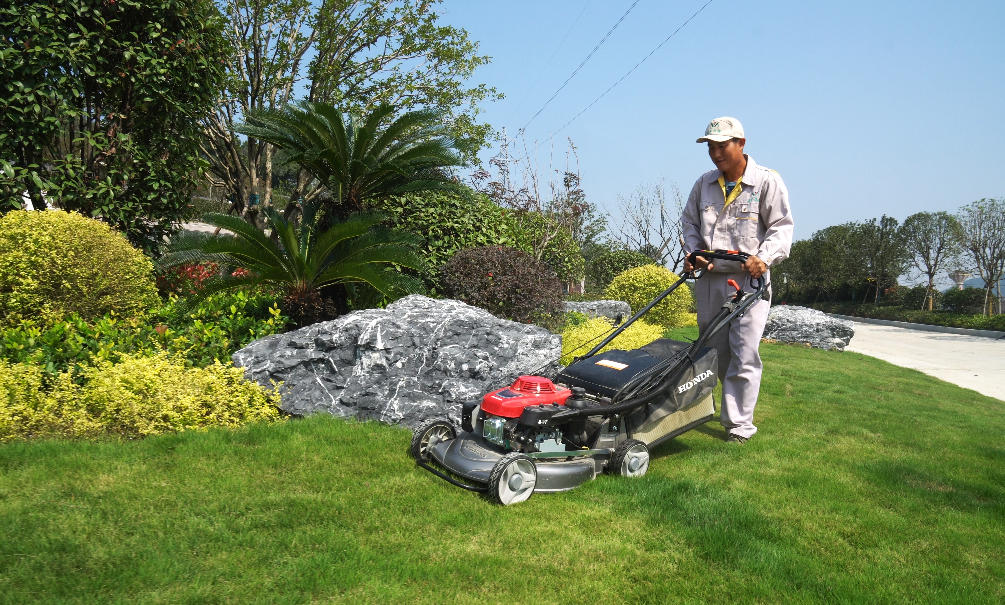 1-250505093P9C4 首页 - 菲律宾亚星国际官方网站