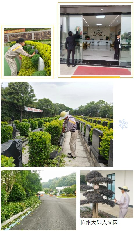 1-250505093S2264 首页 - 菲律宾亚星国际官方网站