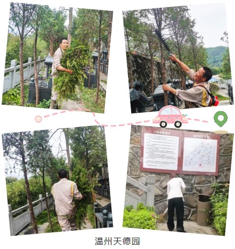 ��ҳ - ���ɱ����ǹ��ʹٷ���վ