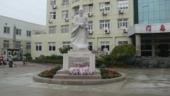 ʯ�������Կ�ҽ�߷绪