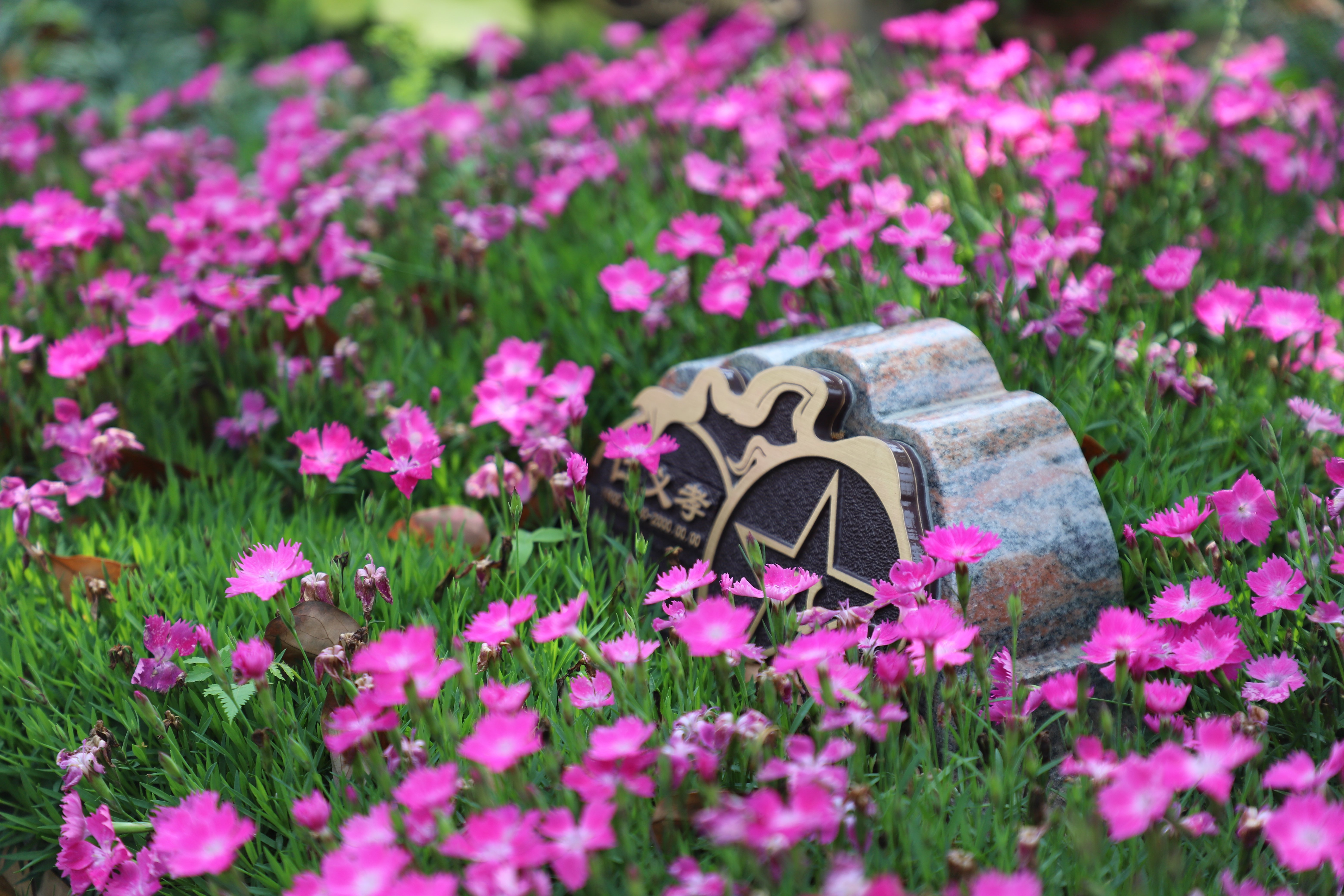 ��ҳ - ���ɱ����ǹ��ʹٷ���վ