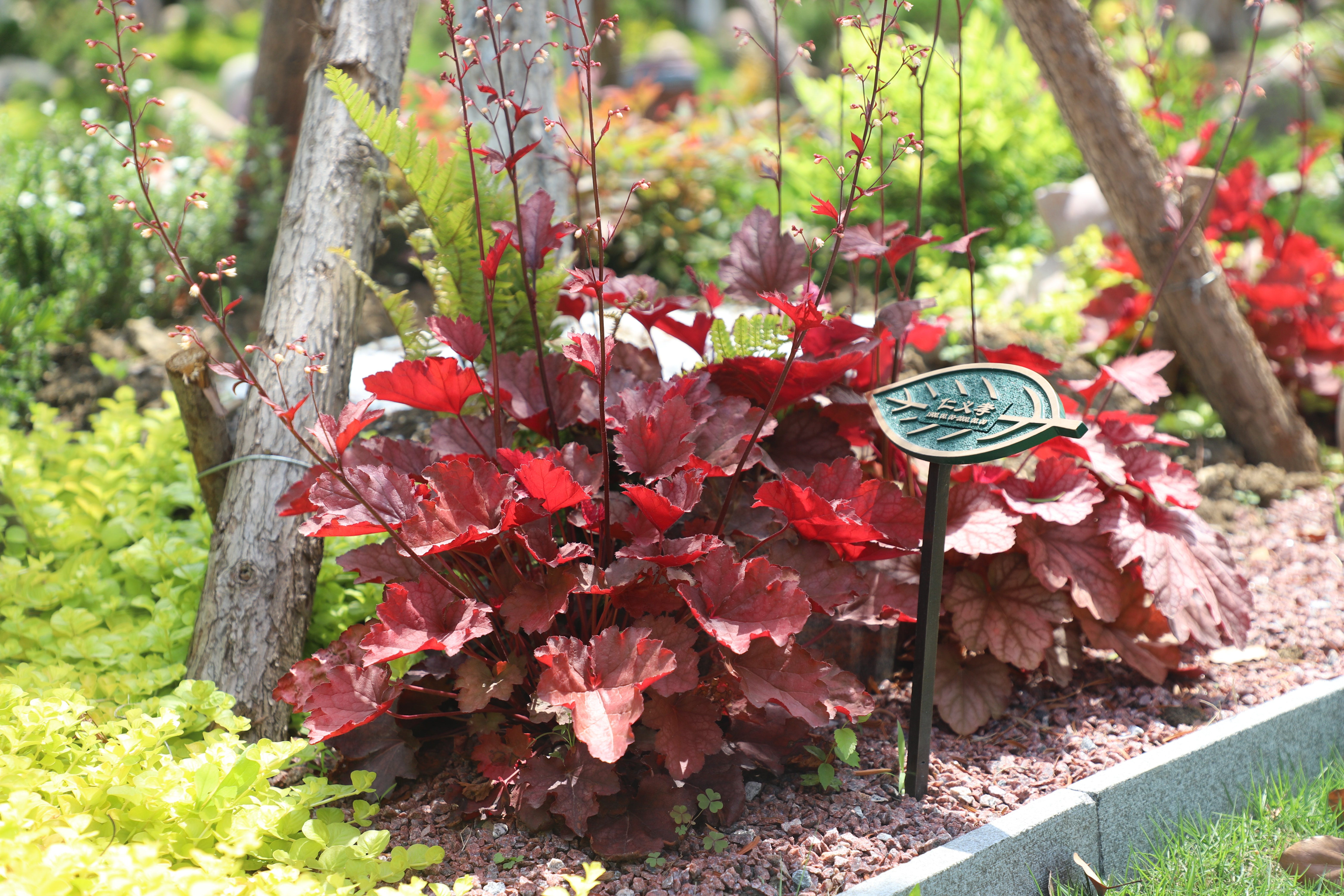 ��ҳ - ���ɱ����ǹ��ʹٷ���վ