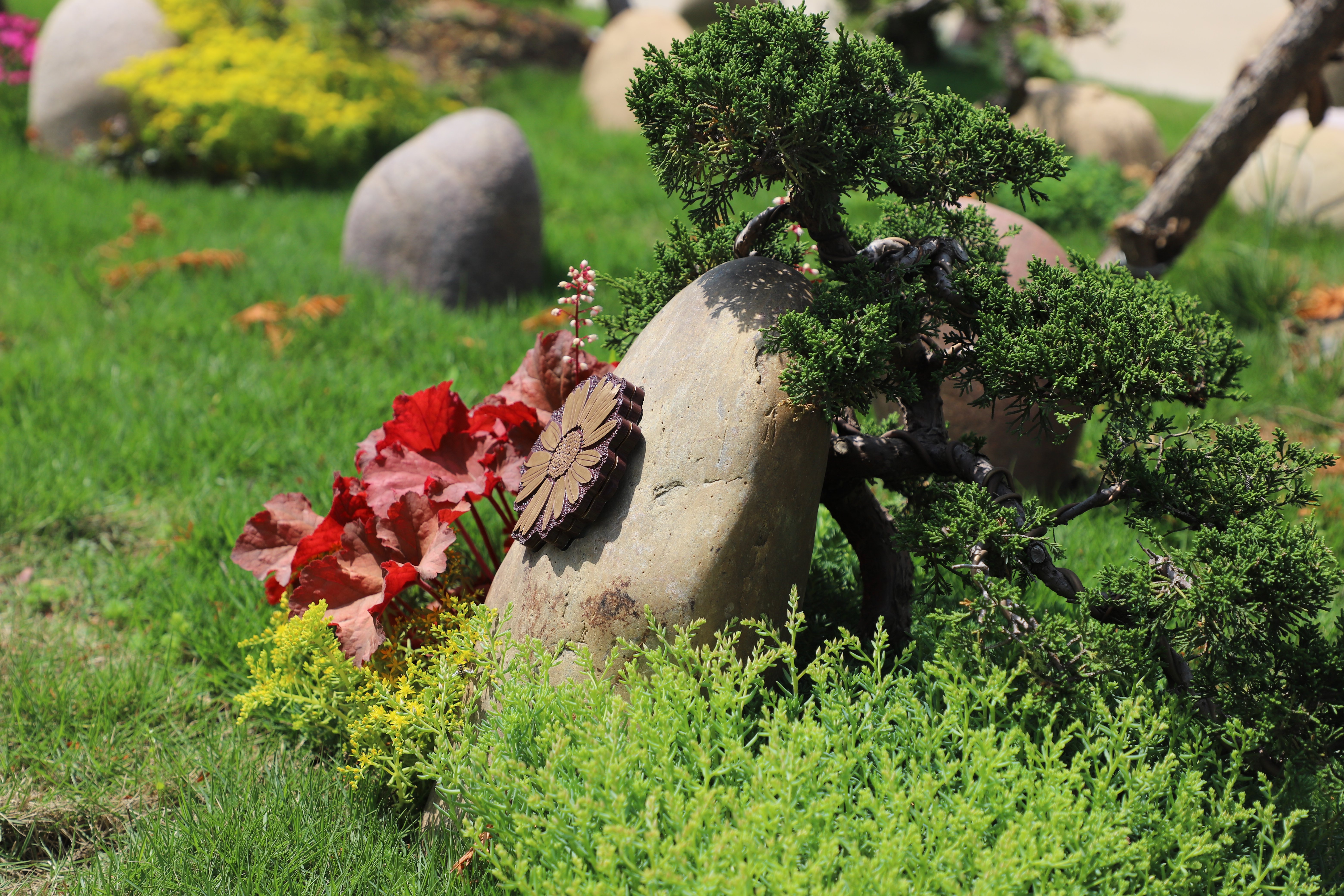 ��ҳ - ���ɱ����ǹ��ʹٷ���վ