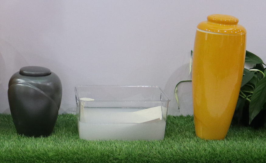 1-250R9105126240 Ê×Ò³ - ·ÆÂɱöÑÇÐǹú¼Ê¹Ù·½ÍøÕ¾