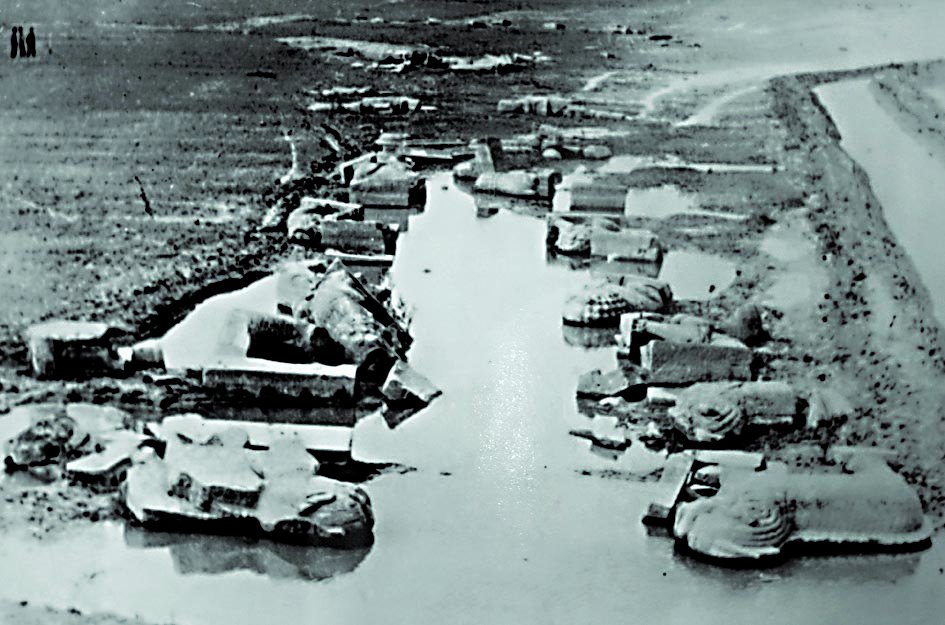 ��ҳ - ���ɱ����ǹ��ʹٷ���վ